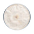 Chestnut Mushroom Plate Culture